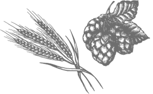 Prodej piva Prostějov